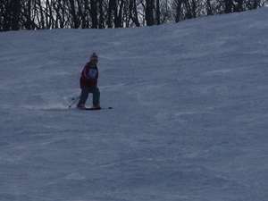 IMGP1245_R