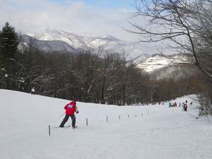 IMGP1396_R