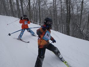 IMGP2535_R