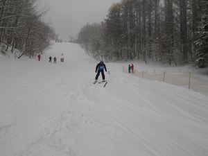 IMGP2567_R