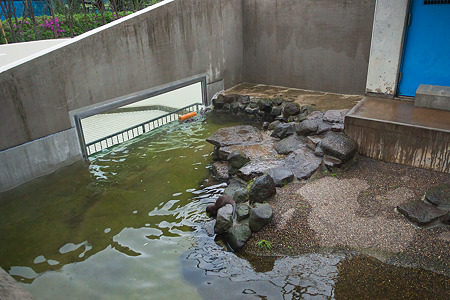ichikawa120504002