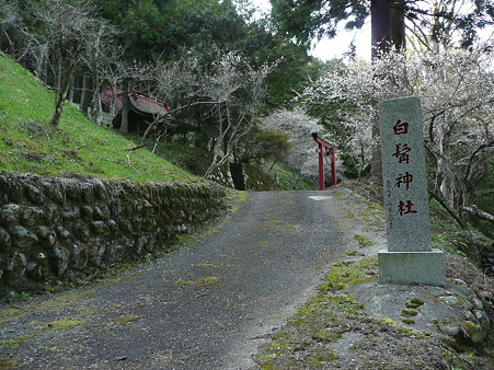 白髭神社