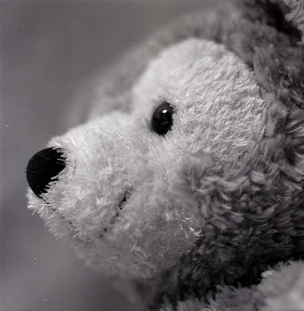 201112-01-008PZ