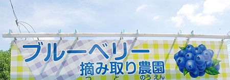 2011年08月07日_DSC_09981