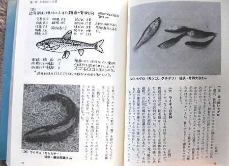 川魚図志＜増補改訂版＞ | 人魚はご機嫌ななめ♪