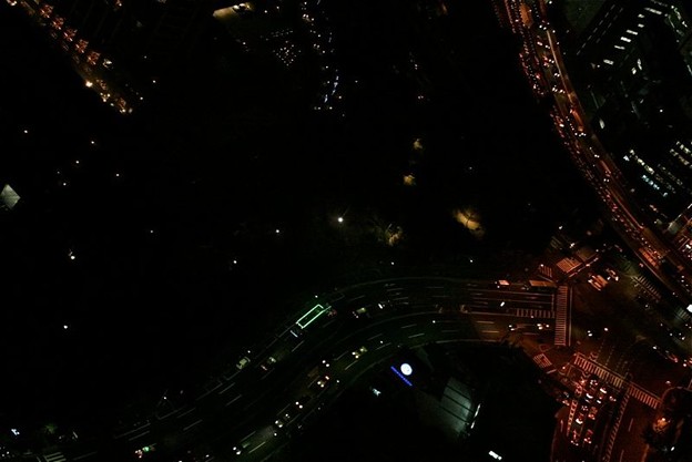 東京タワーからの夜景_6053