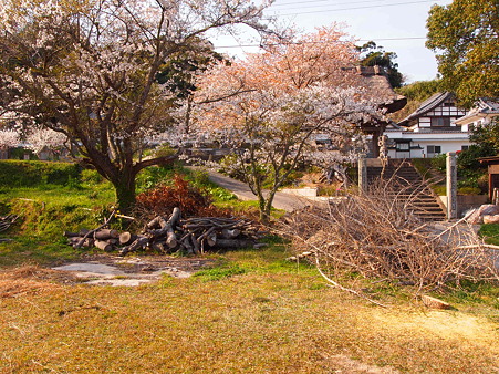 安国寺