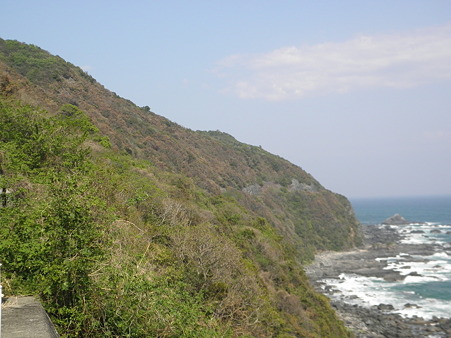 P4230244