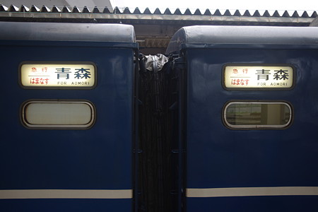 IMGP2825