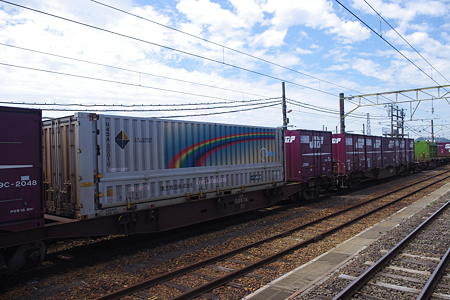 IMGP2900