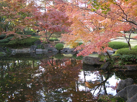大田黒公園の紅葉と池