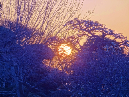 夕陽の輝き