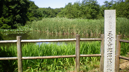 IMGP5589