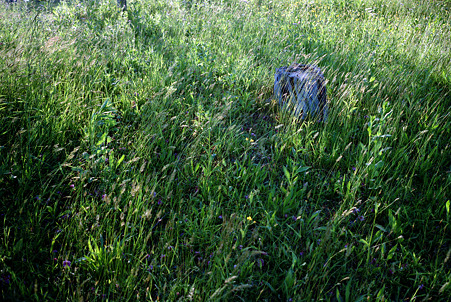 Image0002(Mamiya Press Super 23)