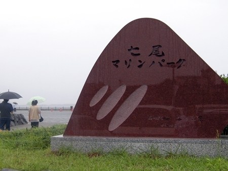 DSCN0803