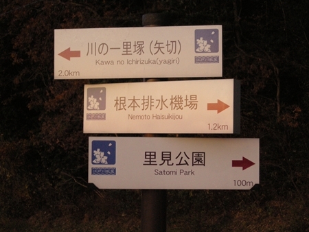 DSCN1335