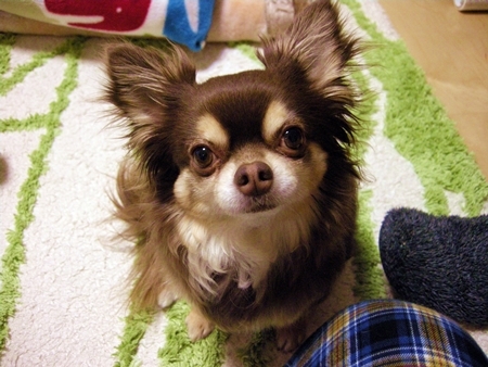 DSCN2204