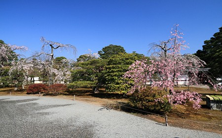 京都御所25