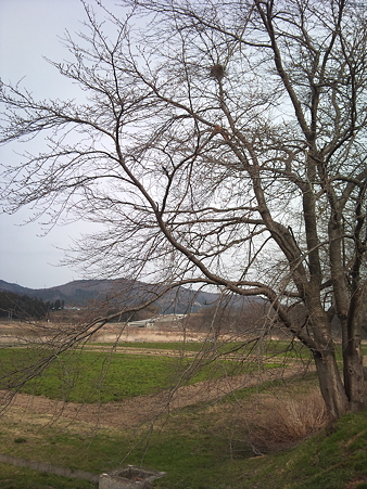 川渡
