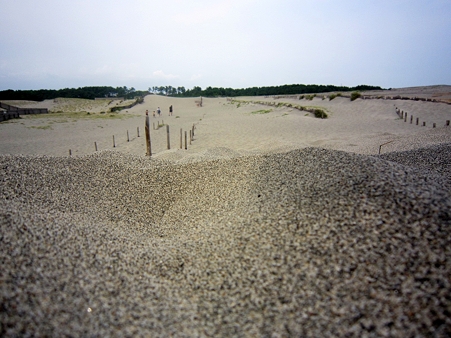 中田島砂丘