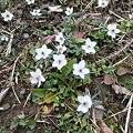 Photos: DSCF9159