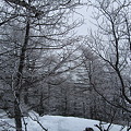 Photos: DSCF9183