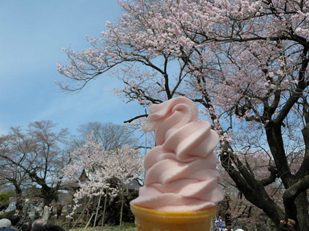 桜ソフト