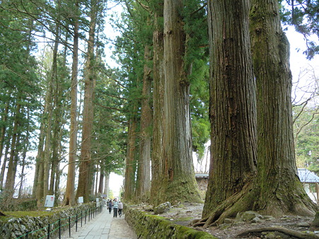 駒ヶ根 光善寺_01