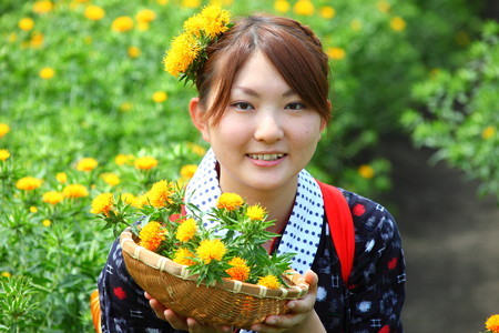 紅花娘