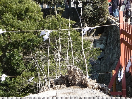 120104-八幡さま (12)