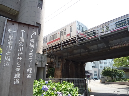 110622-東横廃線 東白楽→反町 (8)