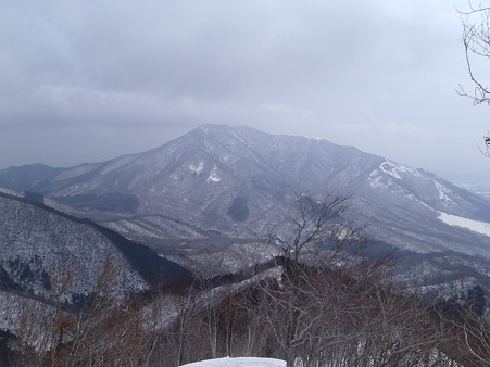 12030822