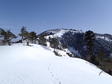 2012032010