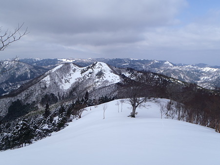 2012032016