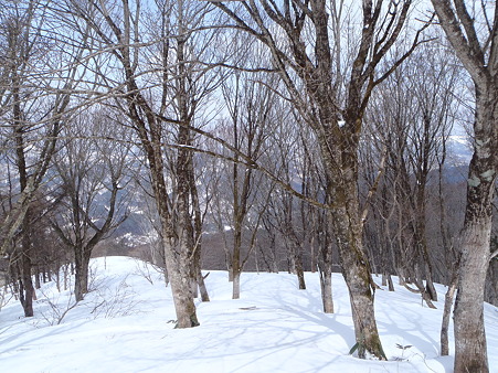 2012032022