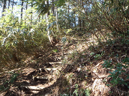 2012050506