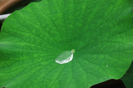 水滴