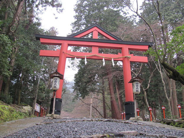 日吉大社山王鳥居 照片共享页面 撮影蔵