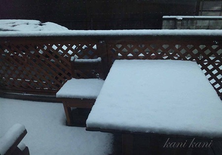 2011.2.15 雪