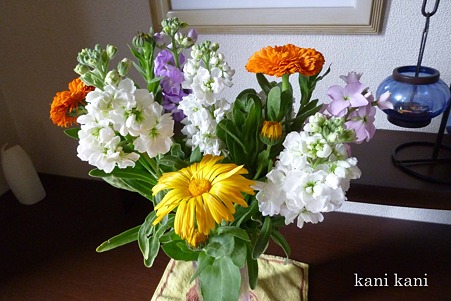 千葉で摘んできた花