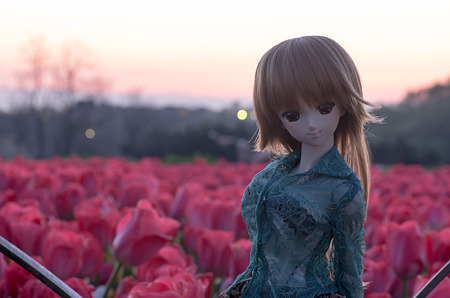 IMGP6937