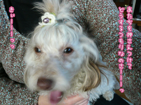 120131 くーかい+みらく 2