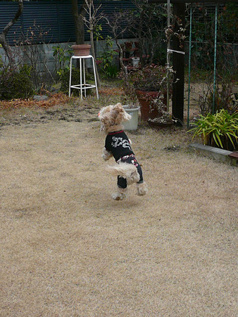 120205_koo_mira_fd_1
