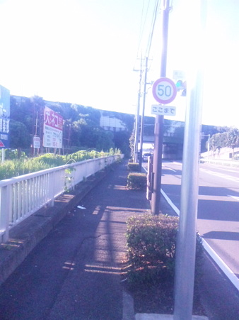 SBSH0766