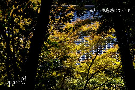 秋の浄妙寺・・2
