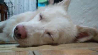 20111002160832