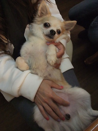 うっとり~~