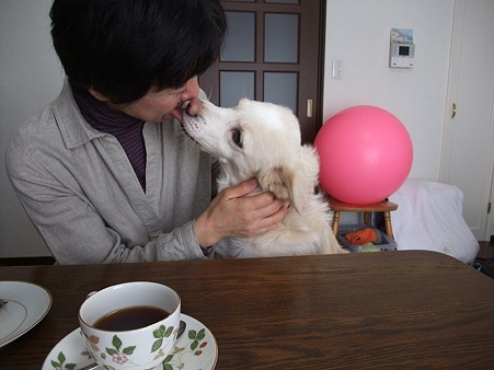 お母さんに甘える蓮くん