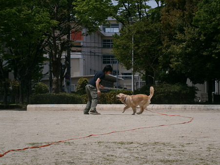 みずき