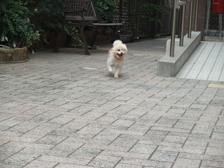 柚子最高に楽しそう♪
